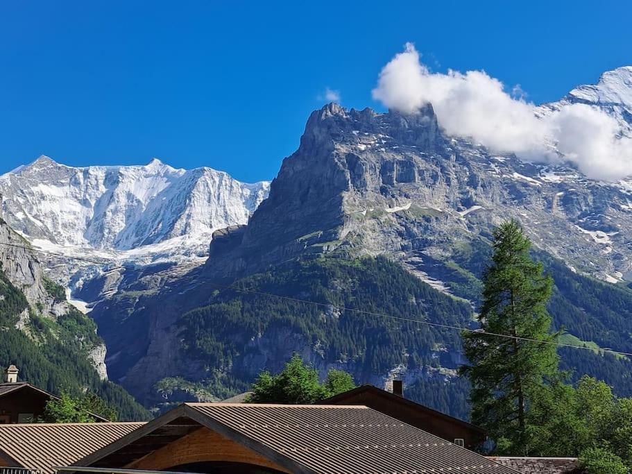 Chalet Engi Apt 1 For Up To 8 People Grindelwald Zewnętrze zdjęcie
