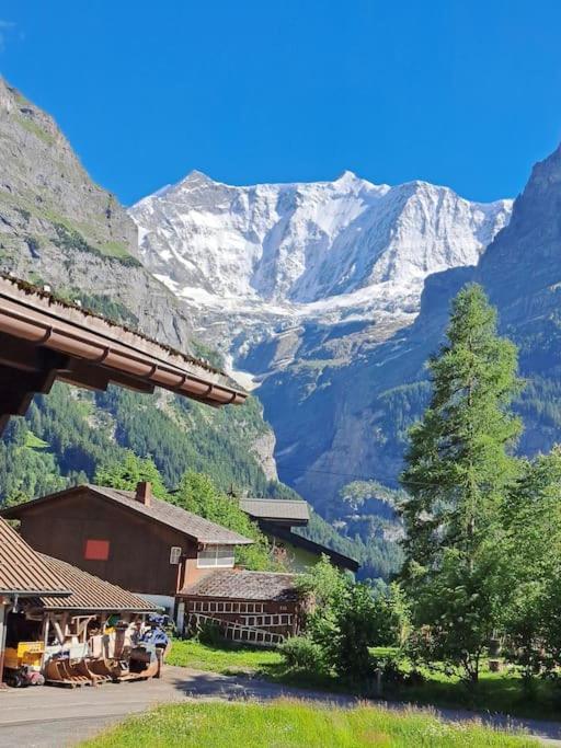 Chalet Engi Apt 1 For Up To 8 People Grindelwald Zewnętrze zdjęcie