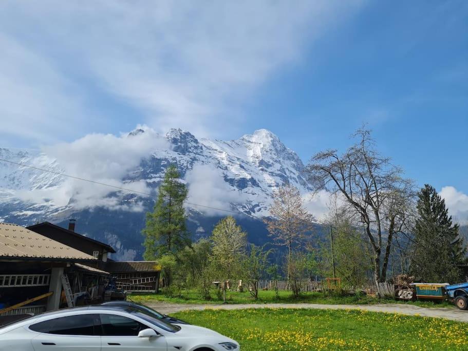 Chalet Engi Apt 1 For Up To 8 People Grindelwald Zewnętrze zdjęcie
