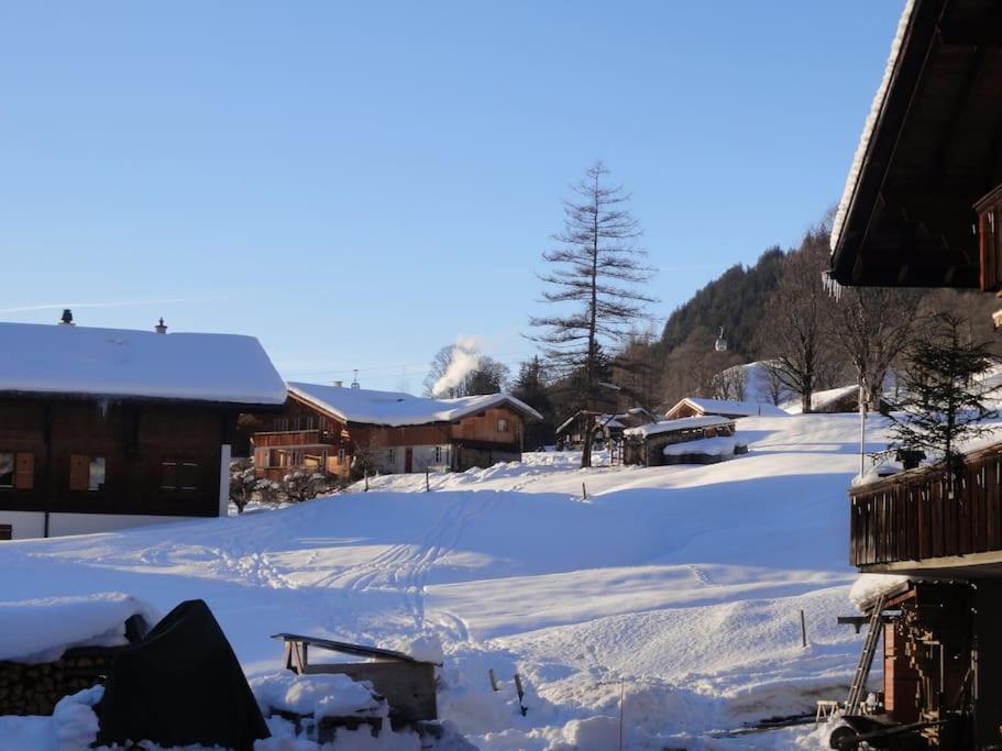 Chalet Engi Apt 1 For Up To 8 People Grindelwald Zewnętrze zdjęcie