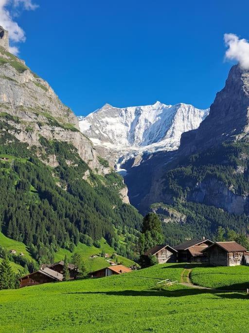 Chalet Engi Apt 1 For Up To 8 People Grindelwald Zewnętrze zdjęcie